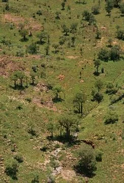 Bungle Bungle Range Stock Photos