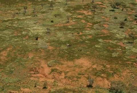 Bungle Bungle Range Stock Photos