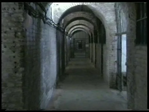 Bunker 3 Stock Footage 336523508