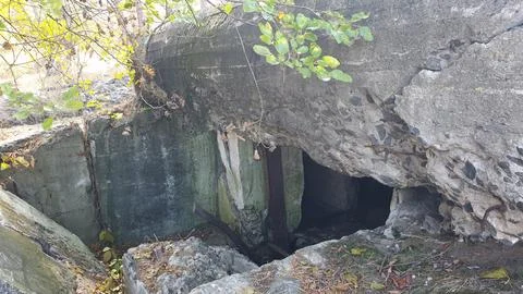 Bunker in the forest. Bunker from the Second World War. Stock Photos