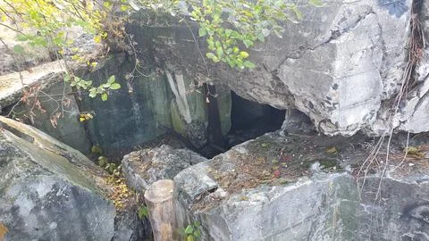 Bunker in the forest. Bunker from the Second World War. Stock Photos