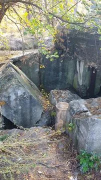 Bunker in the forest. Bunker from the Second World War. Stock Photos