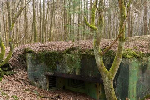 Bunker in Hürtgenwald Fotos de archivo