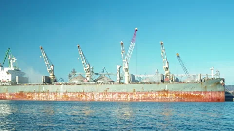 Bunkering of dry cargo ship. Loading grain on vessel with harbor crane Stock Footage 229636392