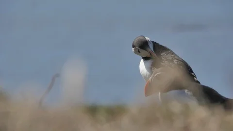Bunmahon Beach time lapse 스톡 동영상 98482981