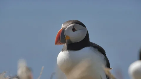 Bunmahon Beach time lapse 스톡 동영상 98482995
