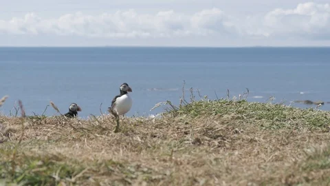 Bunmahon Beach time lapse 스톡 동영상 98483002