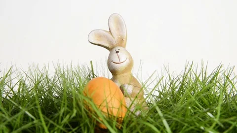 Bunny and easter egg Stock Footage 72730206