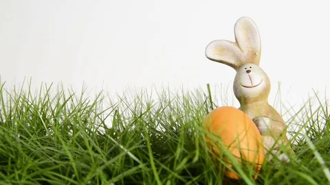 Bunny and easter egg Video stock 72730746