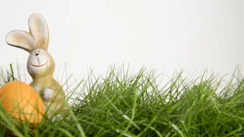 Bunny and easter egg Stock Footage 72731444