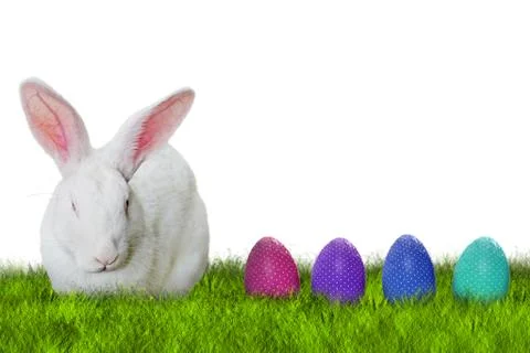 Bunny and Easter eggs on grass Stock Photos
