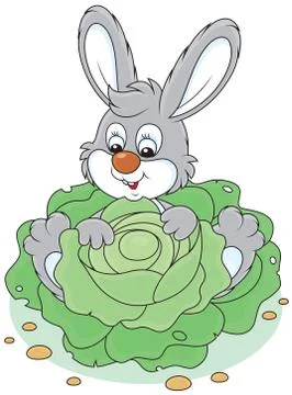 Bunny with a cabbage Stock Illustration