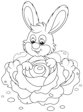 Bunny with a cabbage Stock Illustration