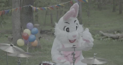 Bunny on Drums 1 스톡 동영상 237547089