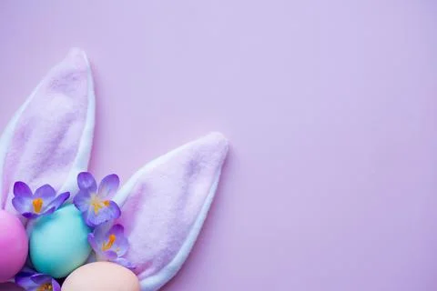 Bunny ears, easter eggs and spring flowers on a lilac background. simple Stock Photos
