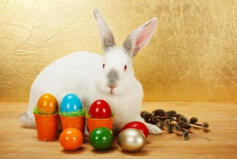 Bunny with easter eggs and catkin Stock Photos