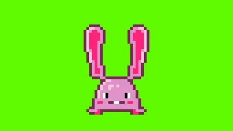 Bunny easter eggs Stock Footage 237153175