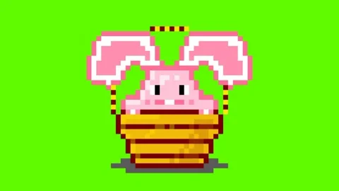 Bunny easter eggs Stock Footage 237445748