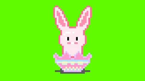 Bunny easter eggs Stock Footage 237445752