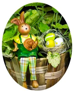 A bunny with easter eggs with a plant in background Stock Photos