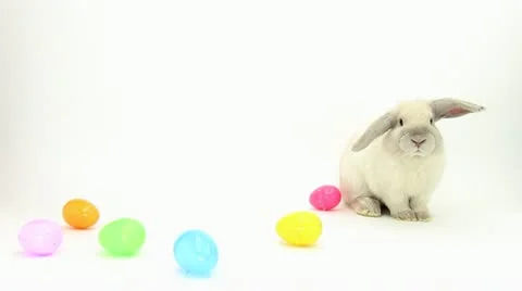 Bunny with Easter Eggs Watching Camera Stock Footage 22216186
