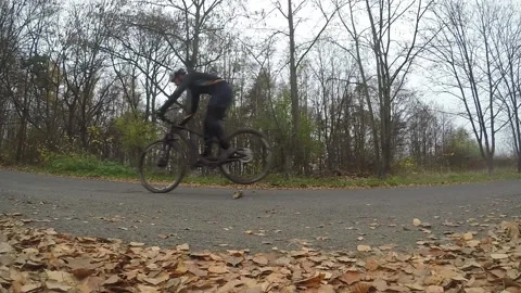 Bunny hop training Stock Footage 161502890