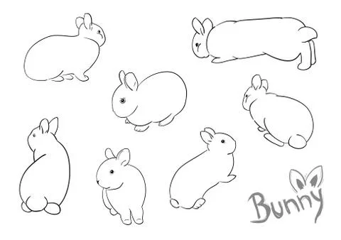 Bunny Illustrazione stock