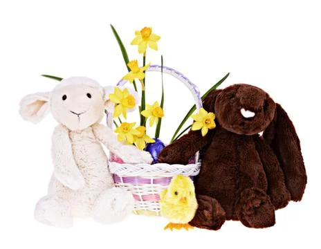 Bunny, Lamb and chick with Easter Basket - Isolated Stock Photos