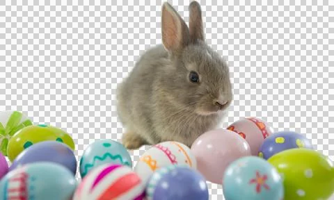 Bunny with patterned Easter eggs 写真素材