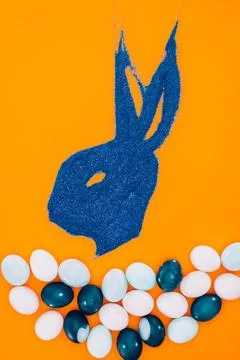 Bunny 写真素材