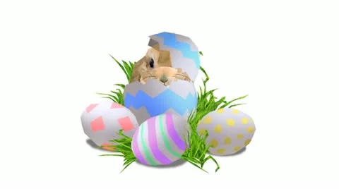 Bunny popup Video stock 20531022