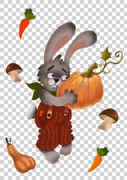 Bunny with a pumpkin Stock Illustration