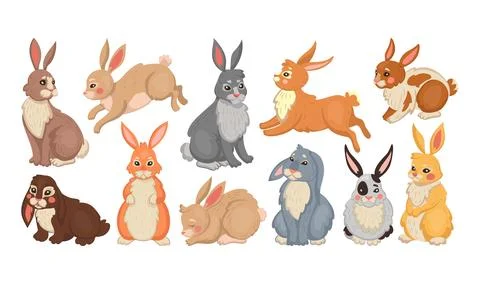 Bunny rabbit and easter hare. Cute animal drawing different breeds, farm baby Stock Illustration