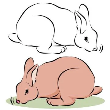 Bunny rabbit sniffing Stock Illustration