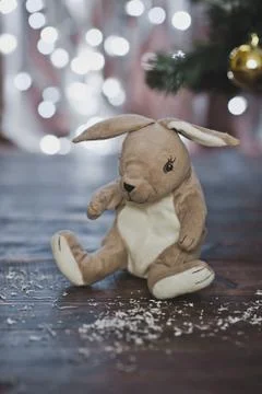 Bunny is sitting under the tree 4617. Stock Photos