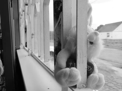 Bunny in the store Stock Photos