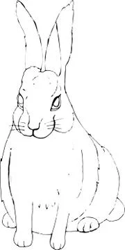 Bunny Vector hand drawn rabbit isolated on white background. Stock Illustration