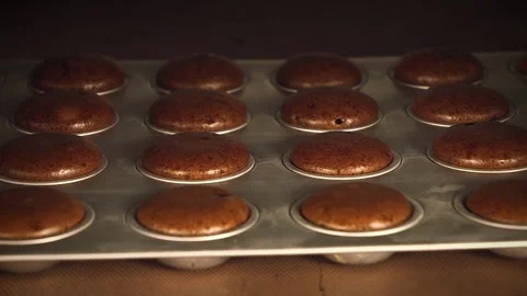 Buns baking in oven. Timelapse. Buns for hamburger rising up in oven. Baking Stock Footage 272449749