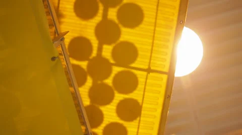 Buns on the elevator ride in wooden pallets Stock Footage 39420447