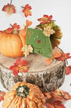Bunte Herbstdekoration Stock Photos