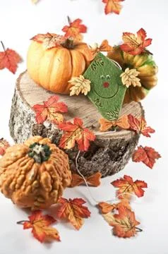Bunte Herbstdekoration Stock Photos