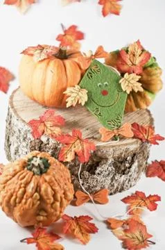 Bunte Herbstdekoration Stock Photos