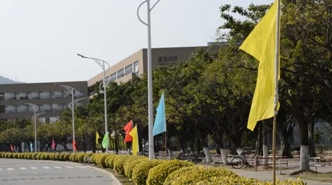 Bunting Stock Footage 35178090