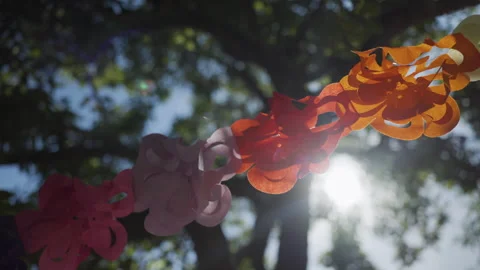 Bunting hanging in sunlight Stock Footage 157764369