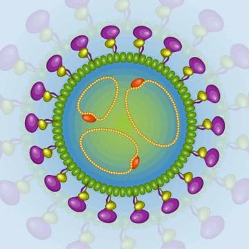 Bunya virus. Background. Eps 10. Stock Illustration