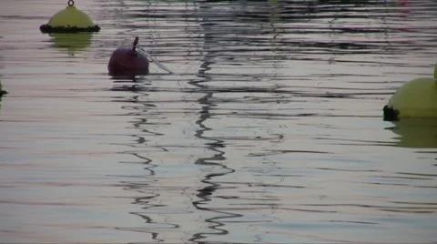 Buoy in calm sea waves Stock Footage 48000233