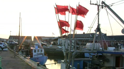 Buoy flags and harbor area Video stock 358917