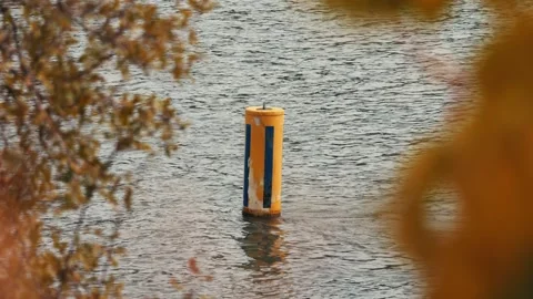 Buoy floating in river in fall in slow motion Stock Footage 255139121