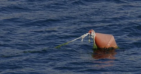 Buoy floating on the sea Stock Footage 83690710