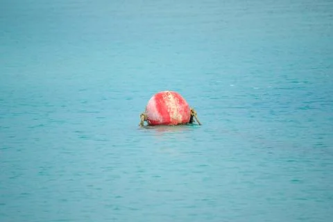 Buoy floating in the sea Used for alignment in the sea Stock Photos